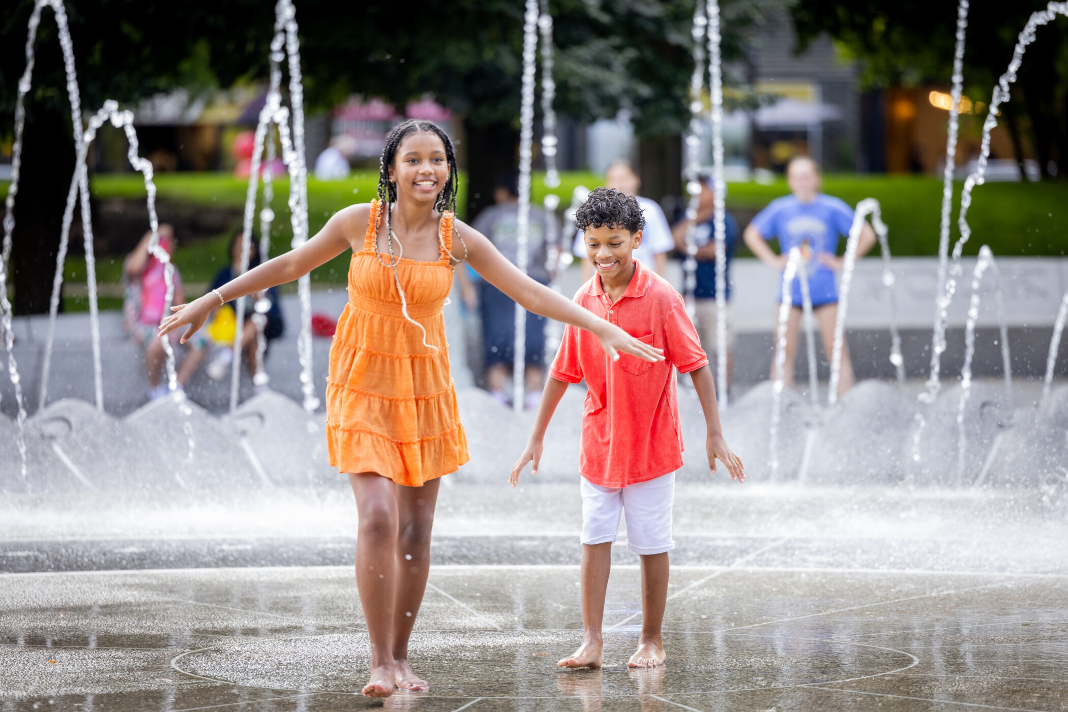 Polk Bros Park: Fountain